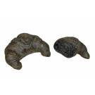 Cornetto "il moro" al carbone 65gr.