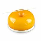 Glassa a specchio smart glaze all'arancia