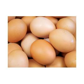 Uova in guscio calibro L pasta gialla