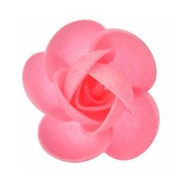Rose in ostia rosa