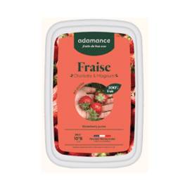Purea di fragola Charlotte e Magnum Adamance