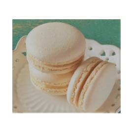 Macarons monogusto cioccolato bianco