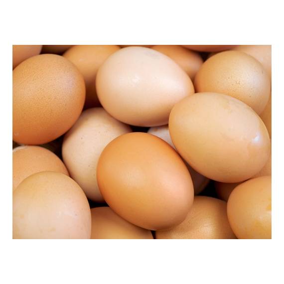 Uova in guscio calibro L pasta gialla