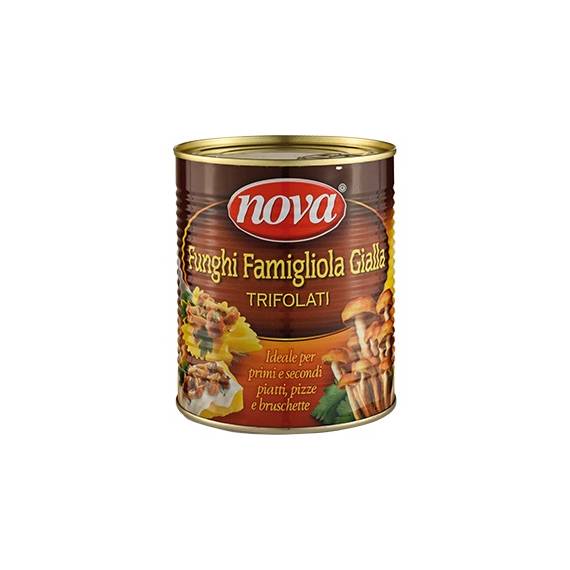 Funghi chiodini "famiglia gialla"