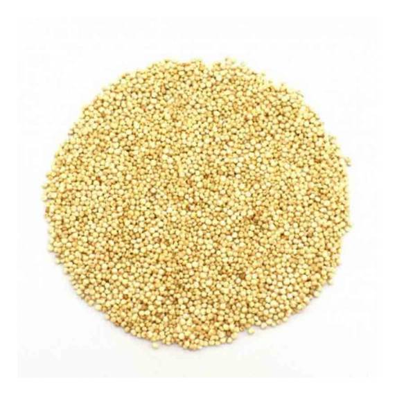 Semi di quinoa