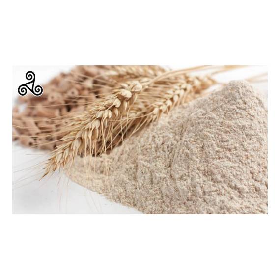 Farina di grano khorasan
