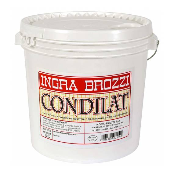 Condilat brozzi