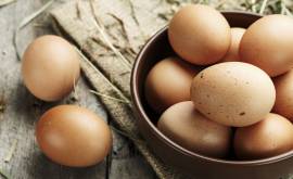 Uova e ovoprodotti